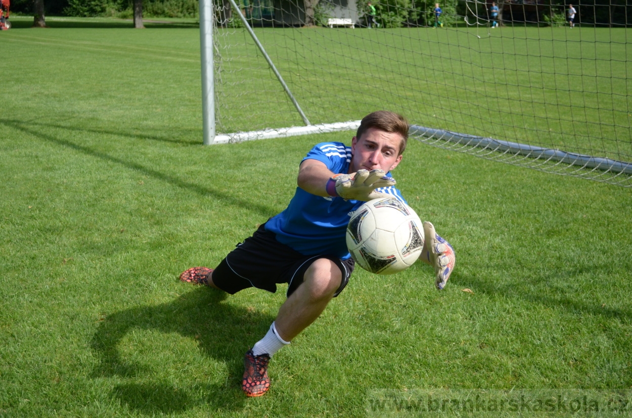 BFŠJCH - Léto 2016 - 30.7.2016