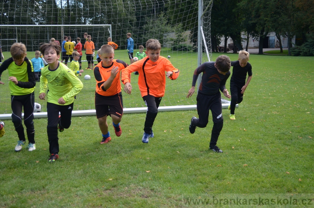 BFŠJCH - Léto 2016 - 30.7.2016
