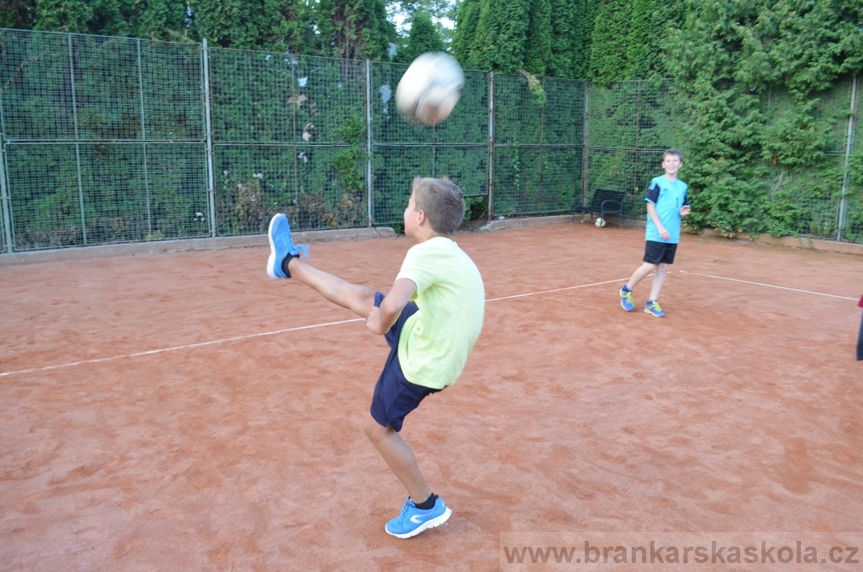 BFŠJCH - Léto 2016 - 30.7.2016