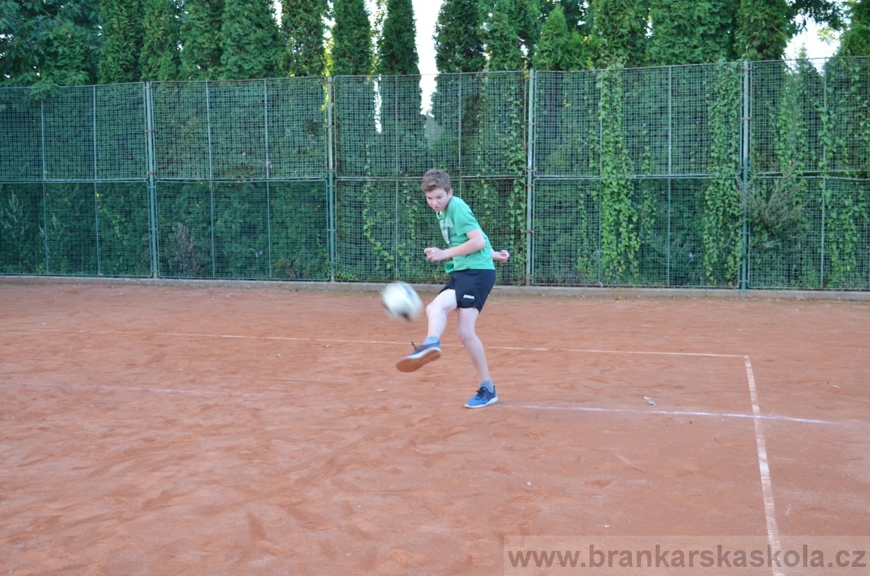 BFŠJCH - Léto 2016 - 30.7.2016