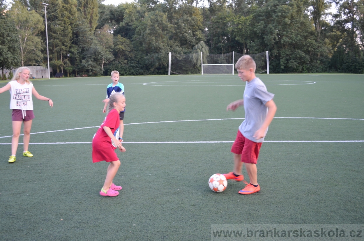 BFŠJCH - Léto 2016 - 30.7.2016