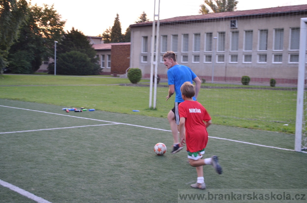 BFŠJCH - Léto 2016 - 30.7.2016