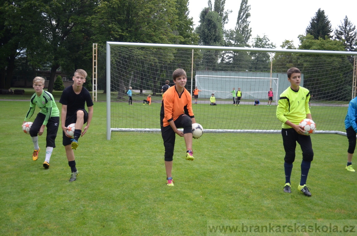 BFŠJCH - Léto 2016 - 31.7.2016