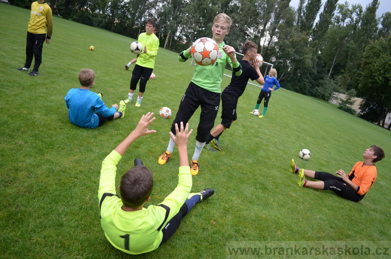 BFŠJCH - Léto 2016 - 31.7.2016