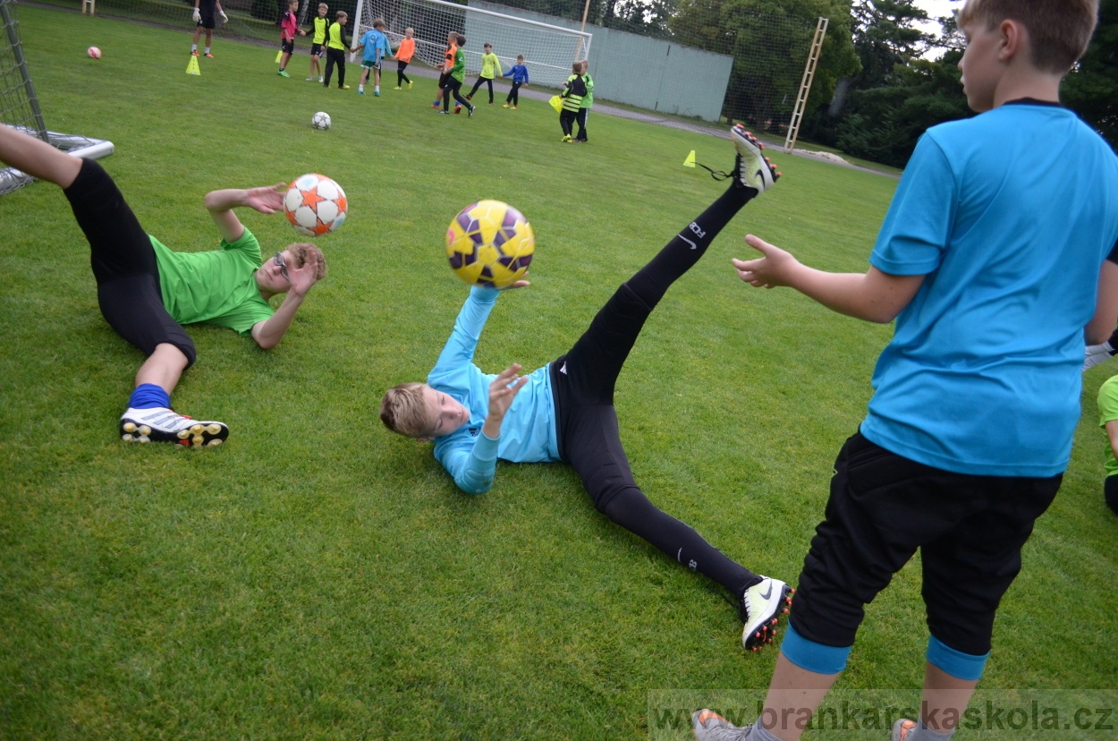 BFŠJCH - Léto 2016 - 31.7.2016