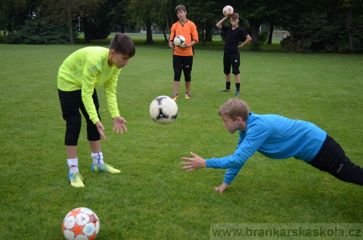 BFŠJCH - Léto 2016 - 31.7.2016