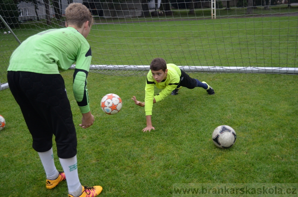 BFŠJCH - Léto 2016 - 31.7.2016