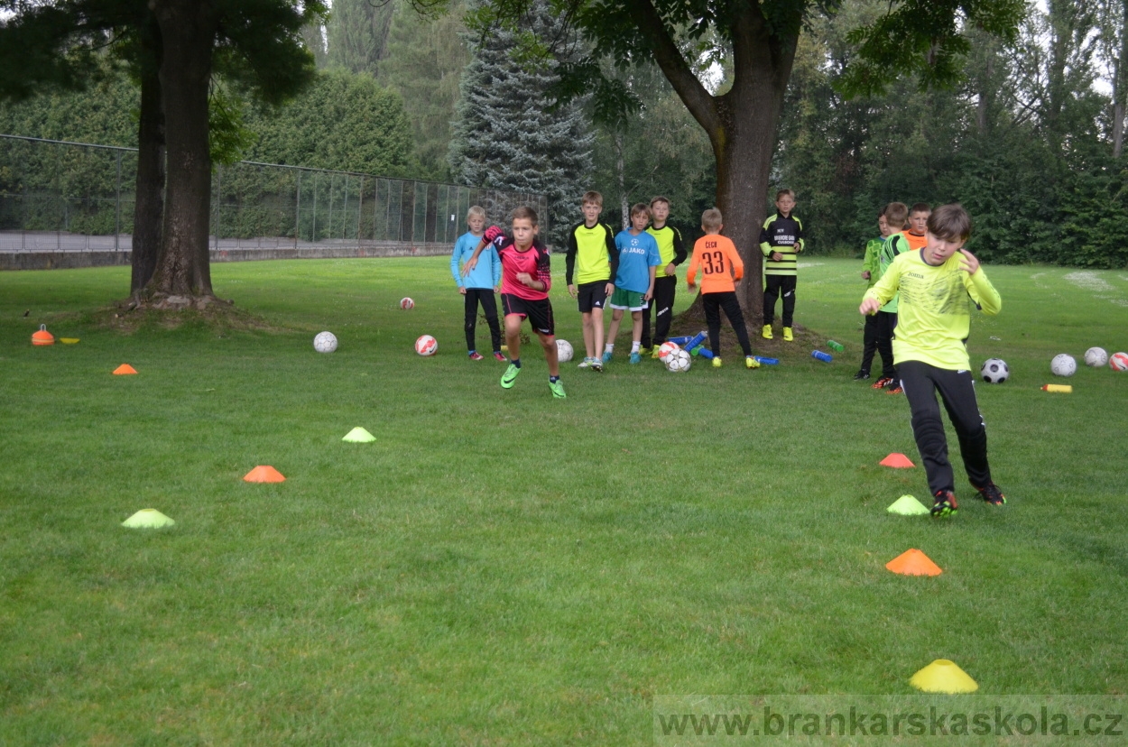 BFŠJCH - Léto 2016 - 31.7.2016