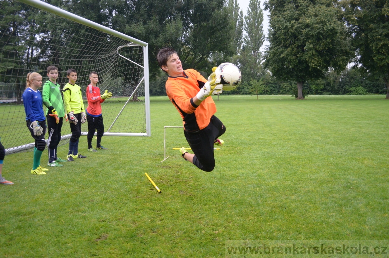 BFŠJCH - Léto 2016 - 31.7.2016