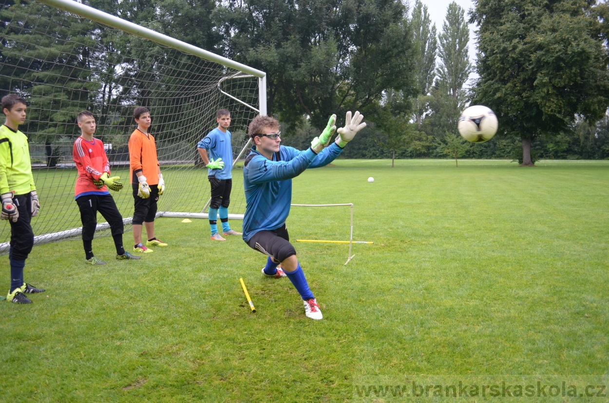 BFŠJCH - Léto 2016 - 31.7.2016