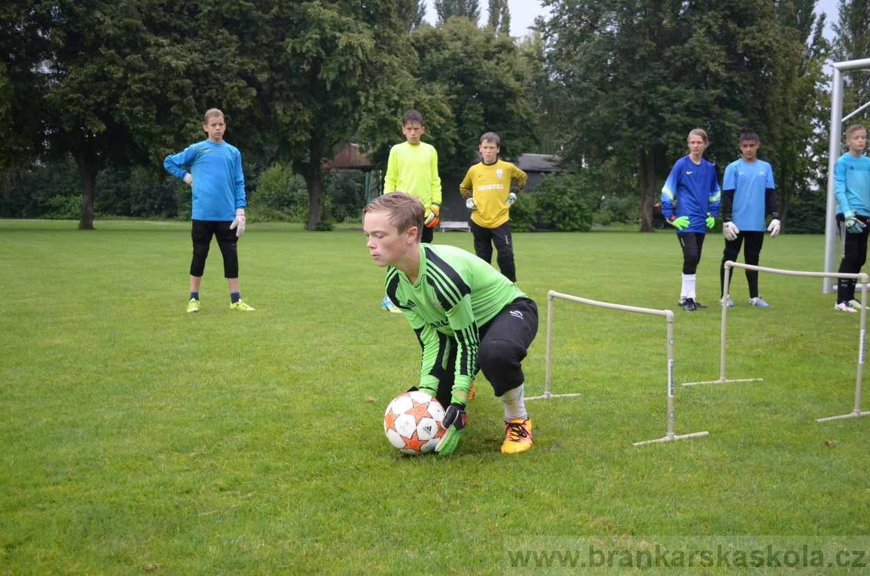 BFŠJCH - Léto 2016 - 31.7.2016