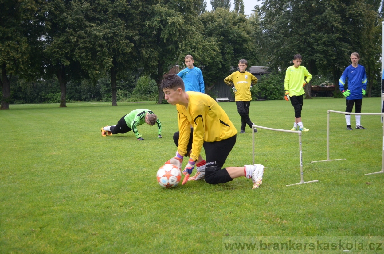 BFŠJCH - Léto 2016 - 31.7.2016