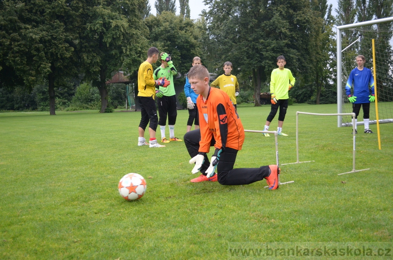 BFŠJCH - Léto 2016 - 31.7.2016