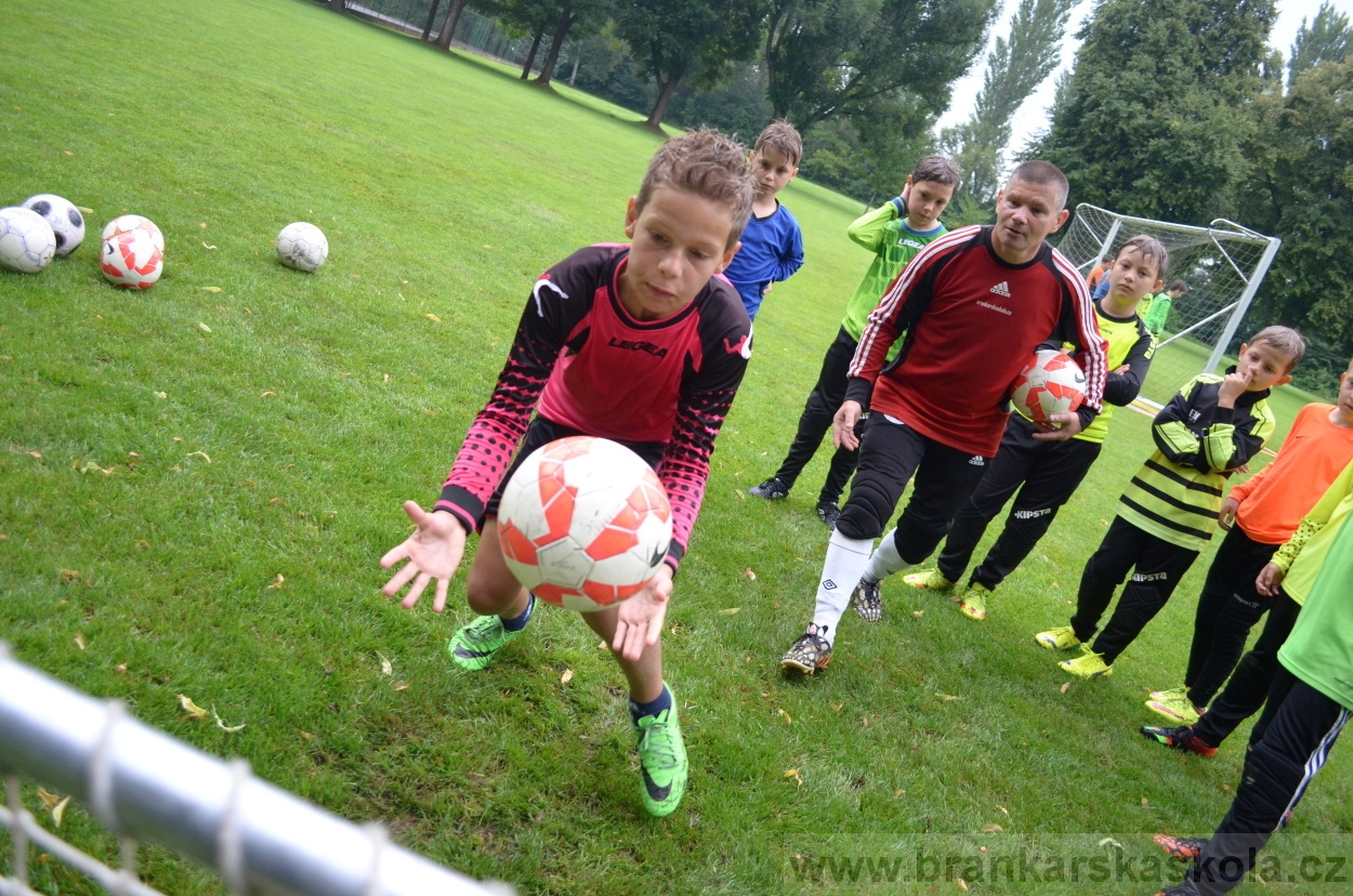 BFŠJCH - Léto 2016 - 31.7.2016