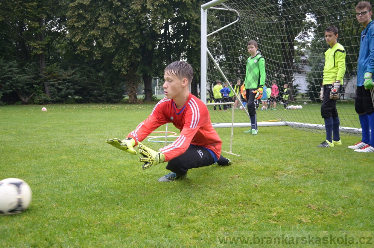 BFŠJCH - Léto 2016 - 31.7.2016