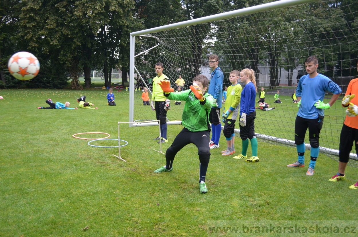 BFŠJCH - Léto 2016 - 31.7.2016