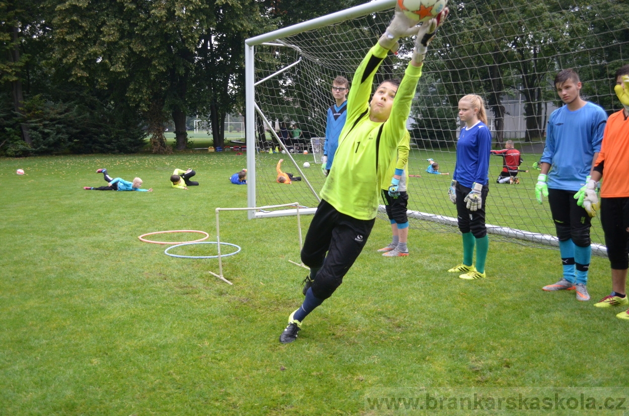 BFŠJCH - Léto 2016 - 31.7.2016