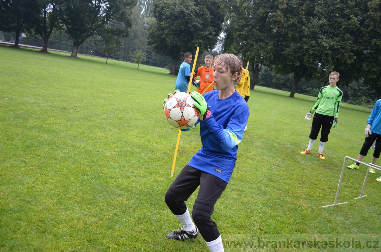 BFŠJCH - Léto 2016 - 31.7.2016