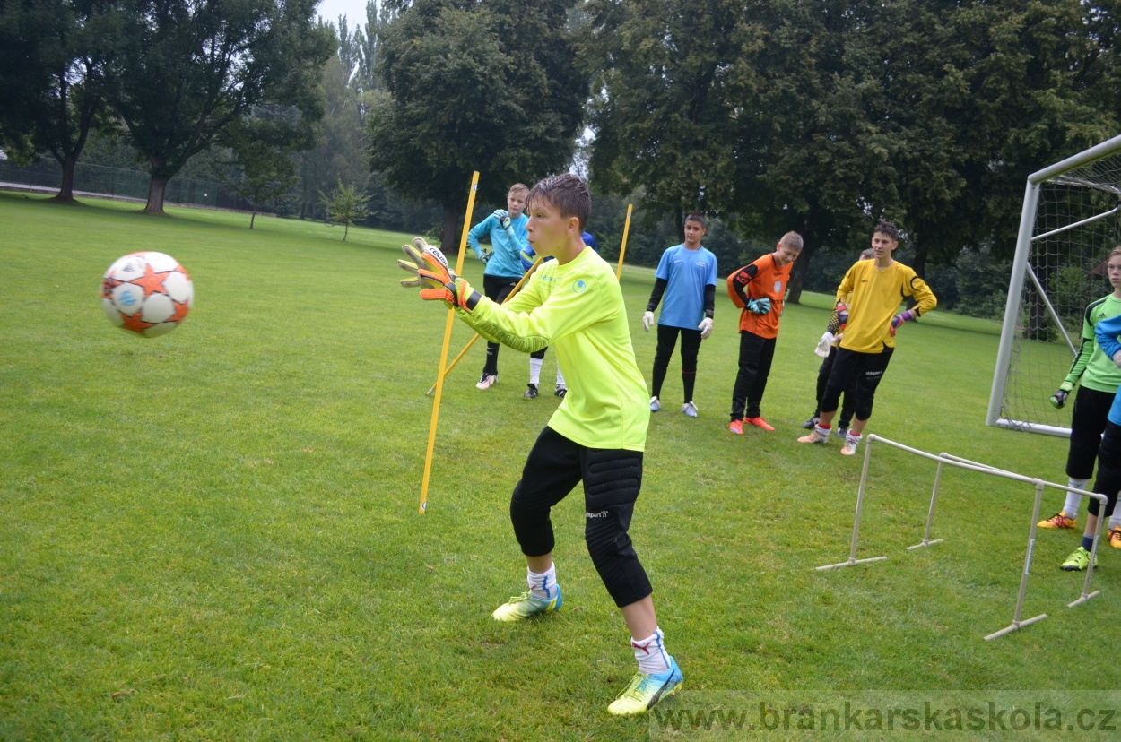 BFŠJCH - Léto 2016 - 31.7.2016