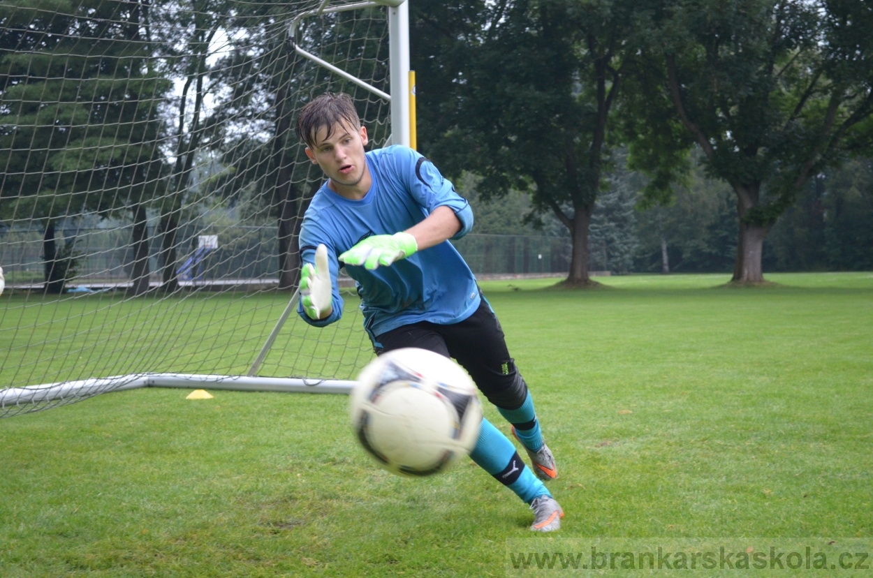 BFŠJCH - Léto 2016 - 31.7.2016