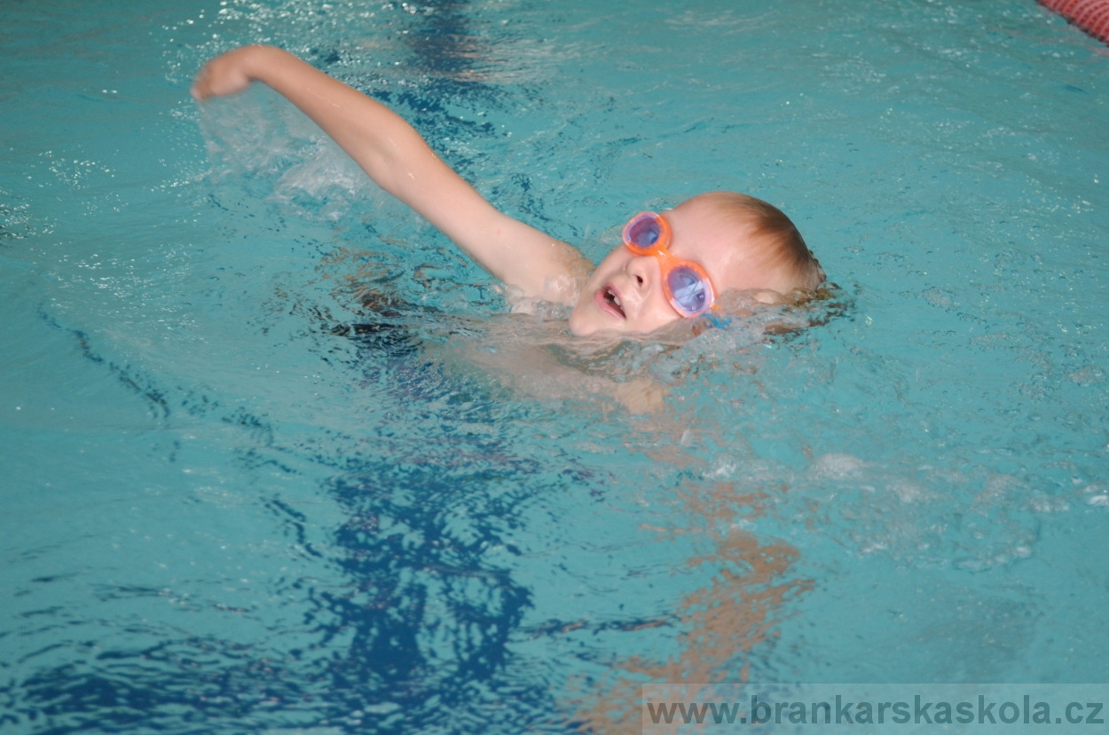 BFŠJCH - Léto 2016 - 31.7.2016