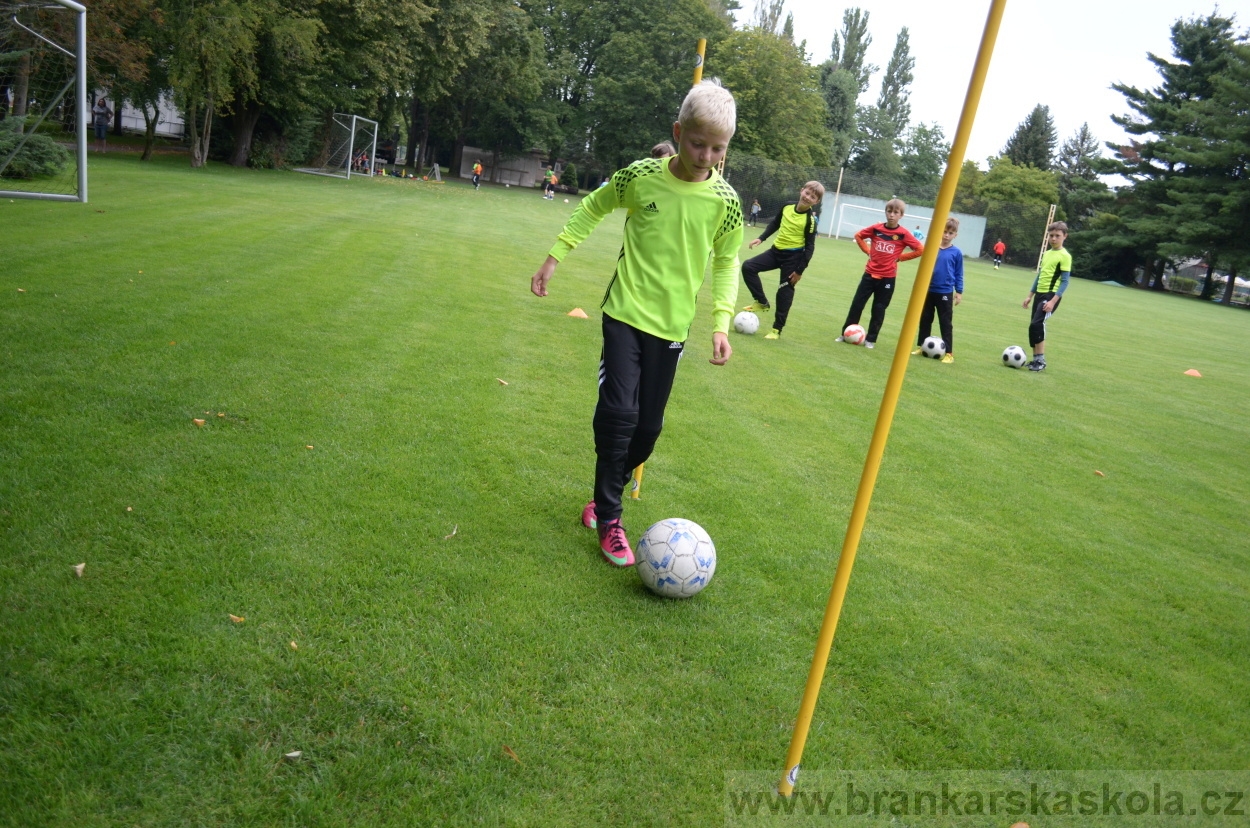 BFŠJCH - Léto 2016 - 31.7.2016