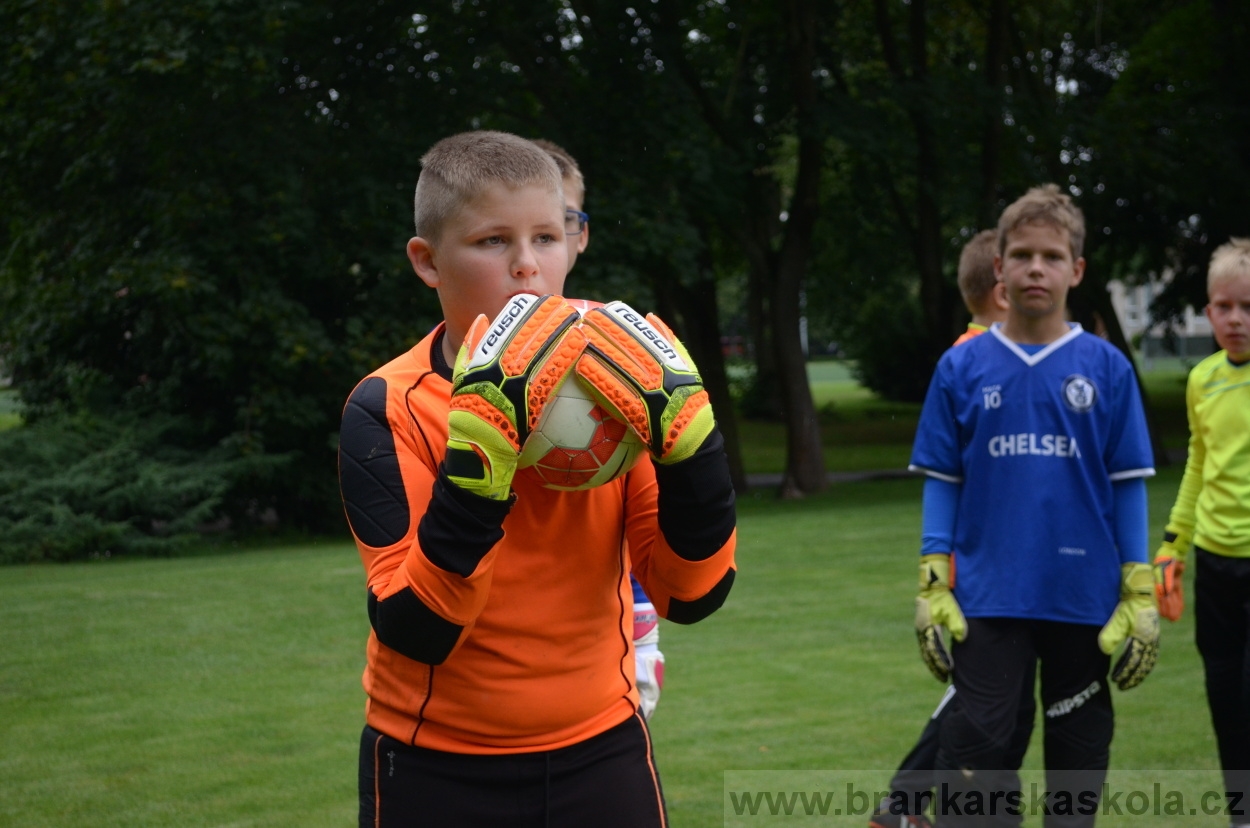 BFŠJCH - Léto 2016 - 31.7.2016