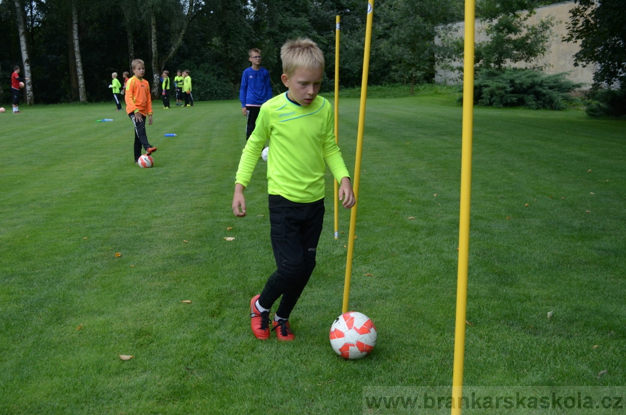 BFŠJCH - Léto 2016 - 31.7.2016