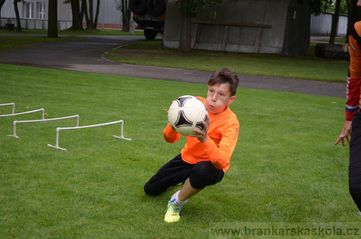 BFŠJCH - Léto 2016 - 31.7.2016