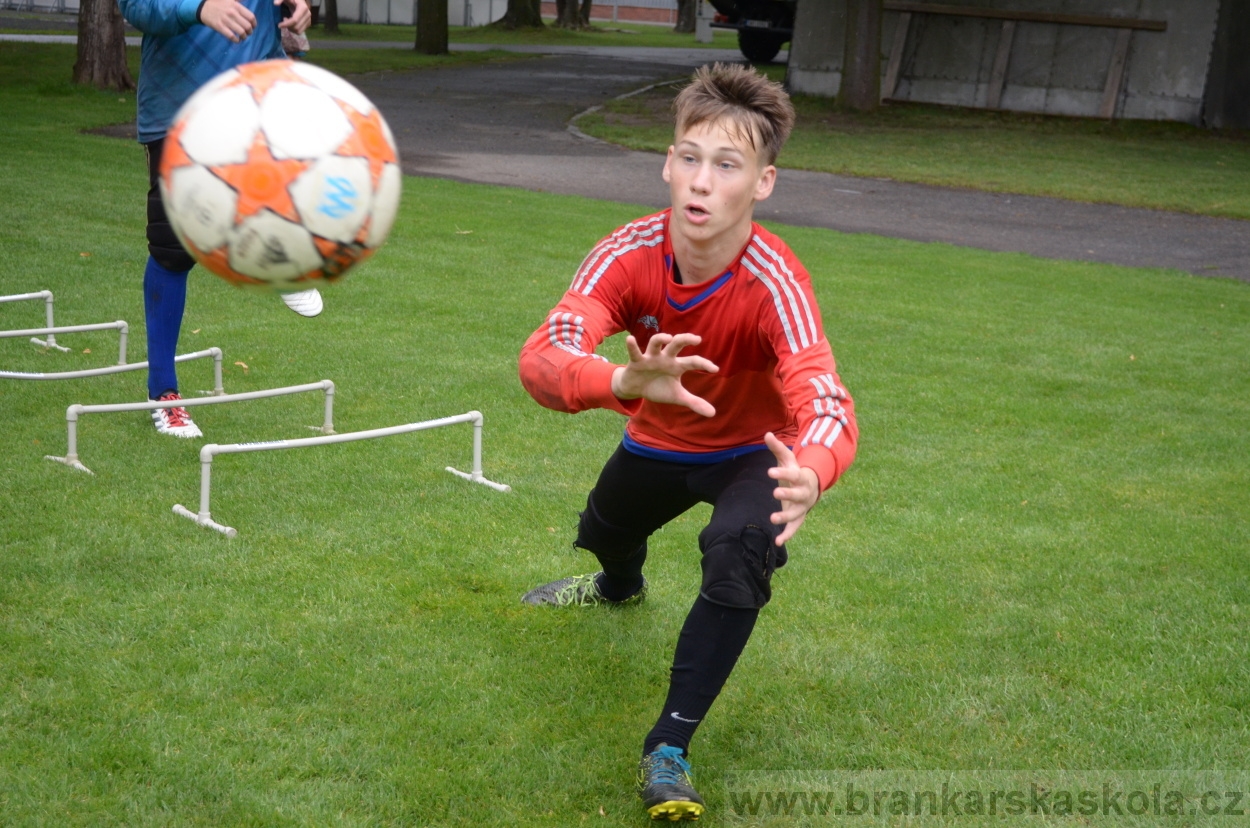 BFŠJCH - Léto 2016 - 31.7.2016