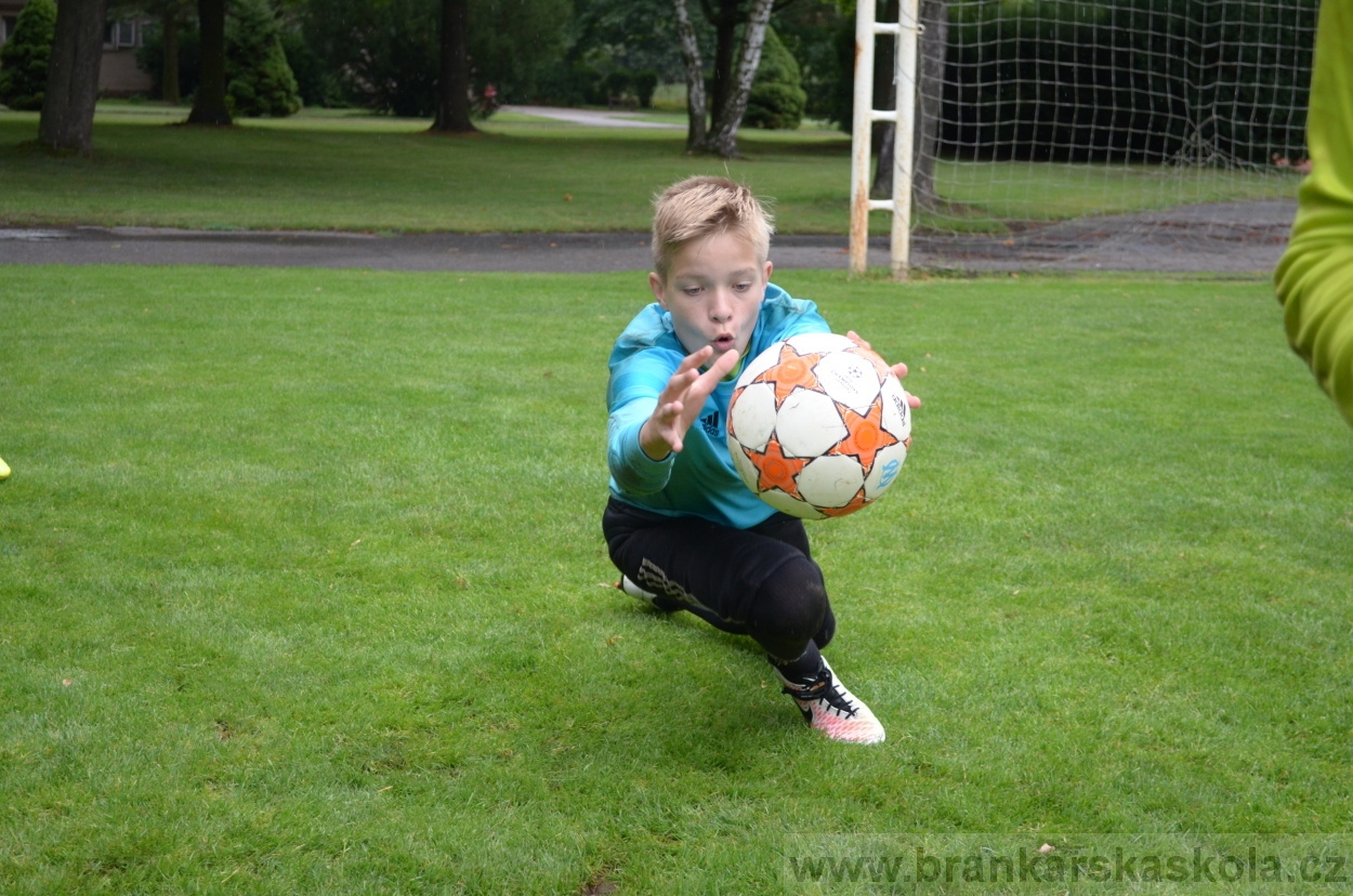 BFŠJCH - Léto 2016 - 31.7.2016