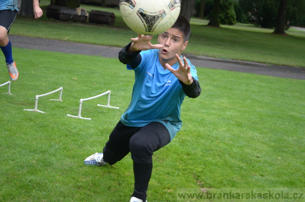 BFŠJCH - Léto 2016 - 31.7.2016