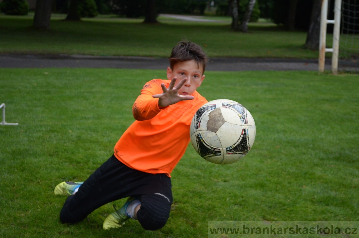 BFŠJCH - Léto 2016 - 31.7.2016