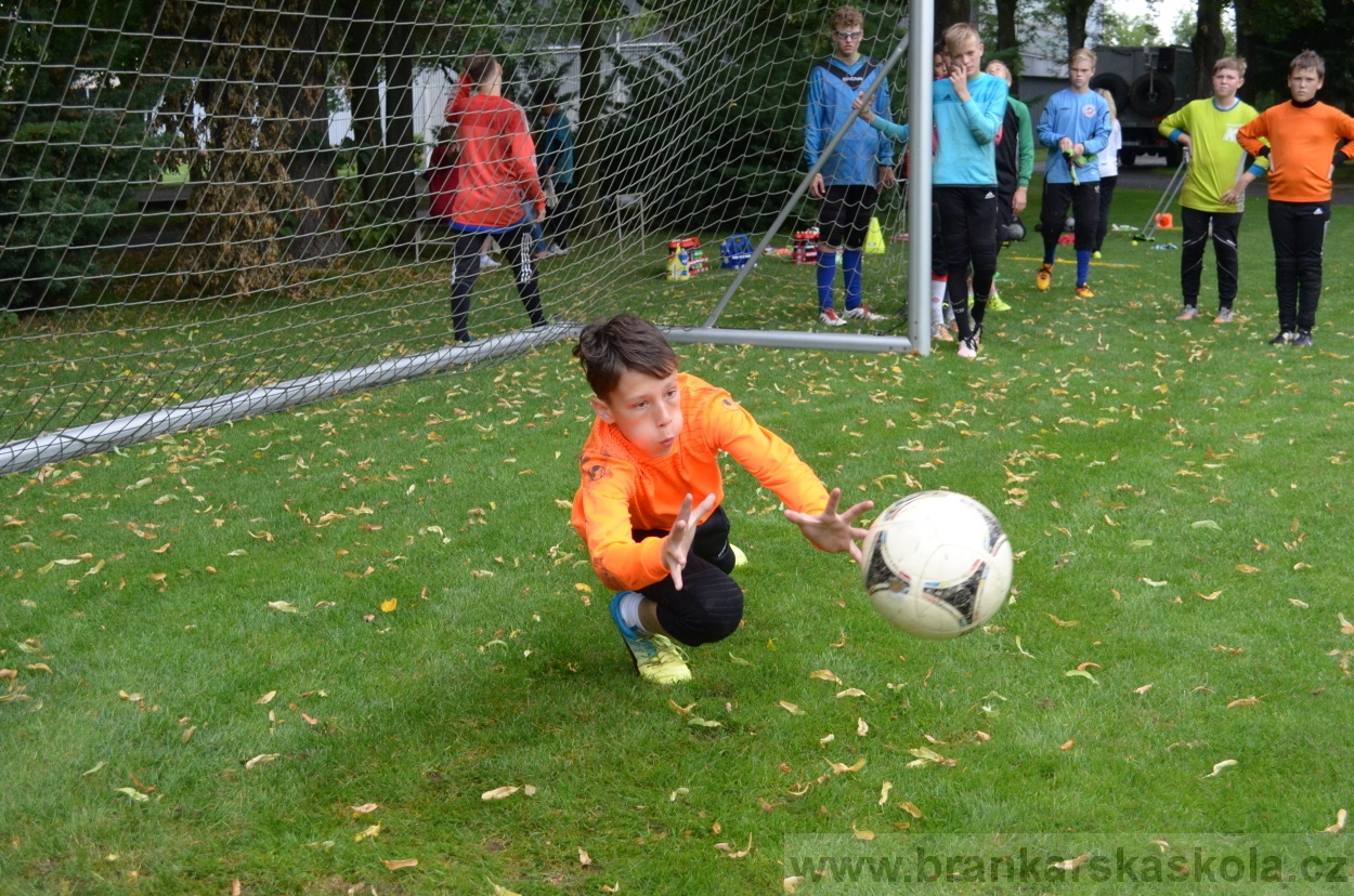 BFŠJCH - Léto 2016 - 31.7.2016