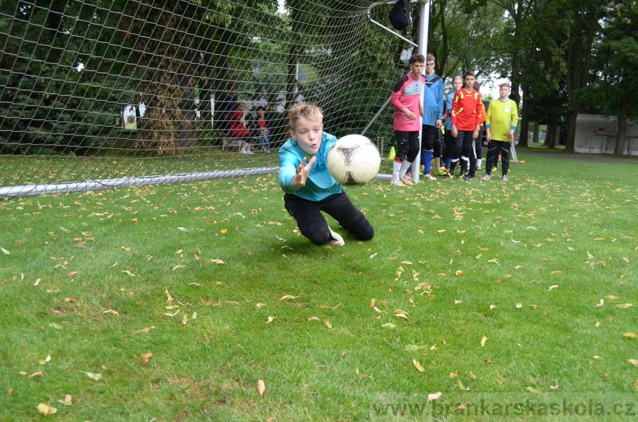 BFŠJCH - Léto 2016 - 31.7.2016