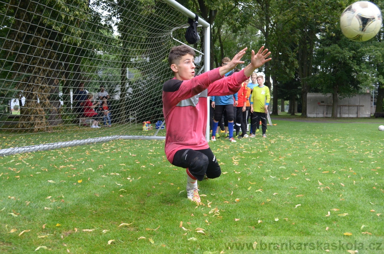 BFŠJCH - Léto 2016 - 31.7.2016