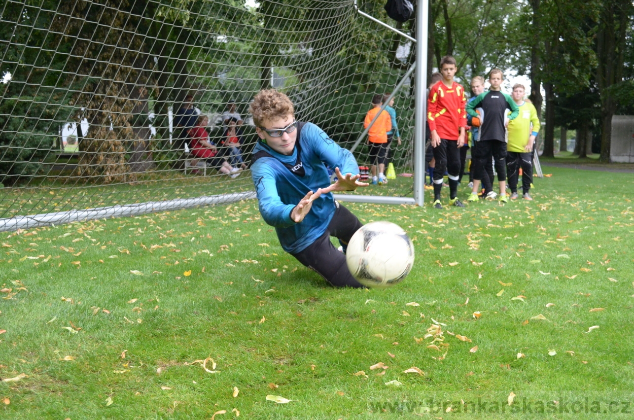 BFŠJCH - Léto 2016 - 31.7.2016