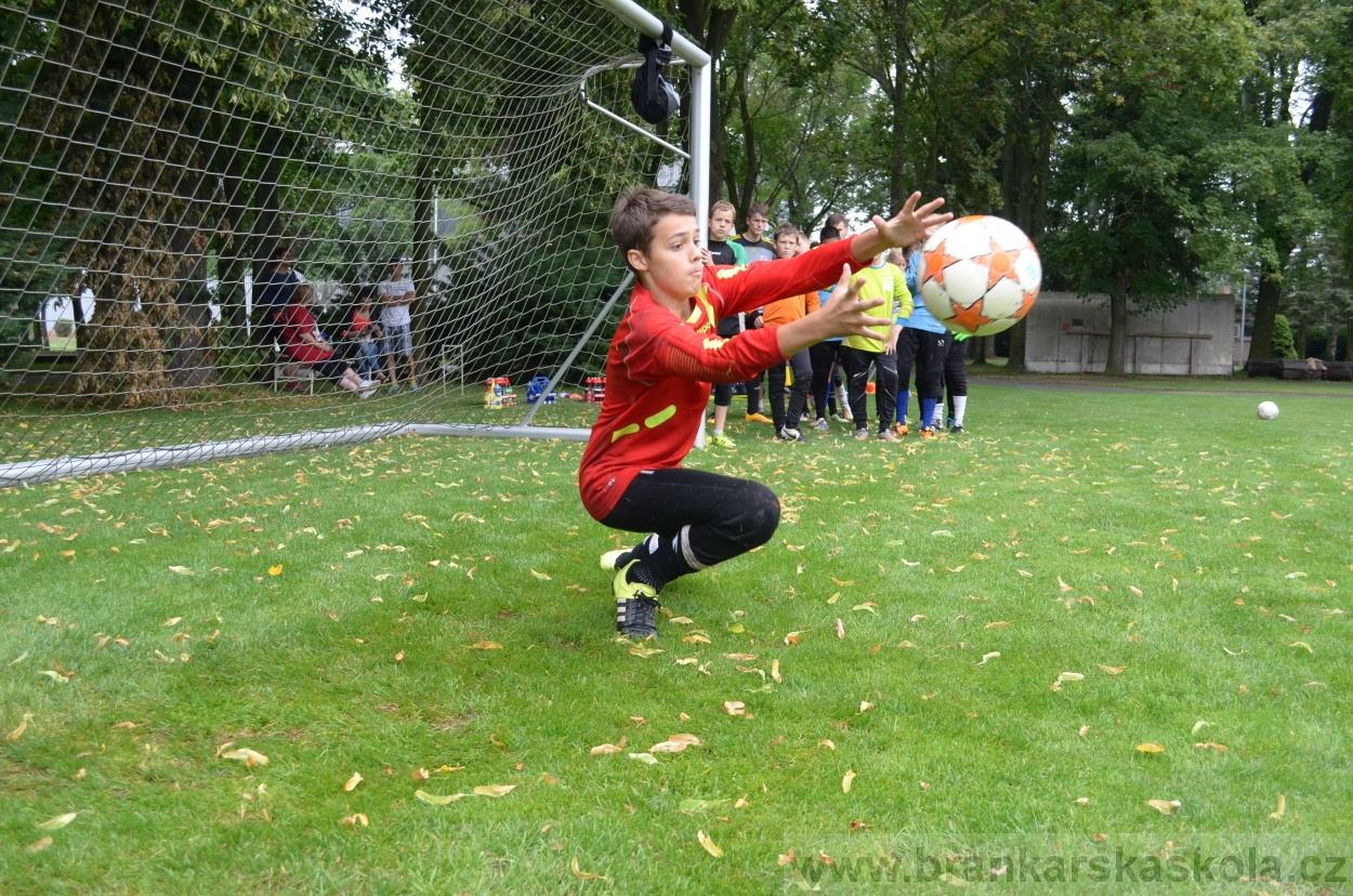 BFŠJCH - Léto 2016 - 31.7.2016