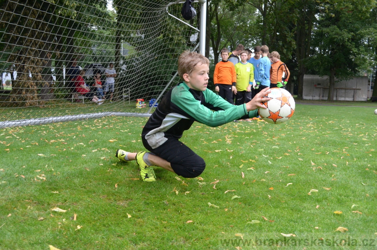BFŠJCH - Léto 2016 - 31.7.2016
