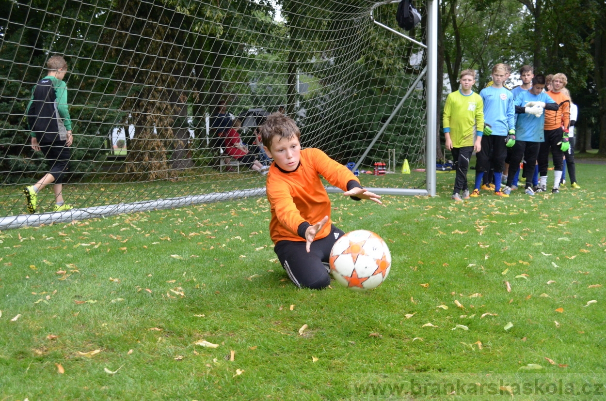 BFŠJCH - Léto 2016 - 31.7.2016