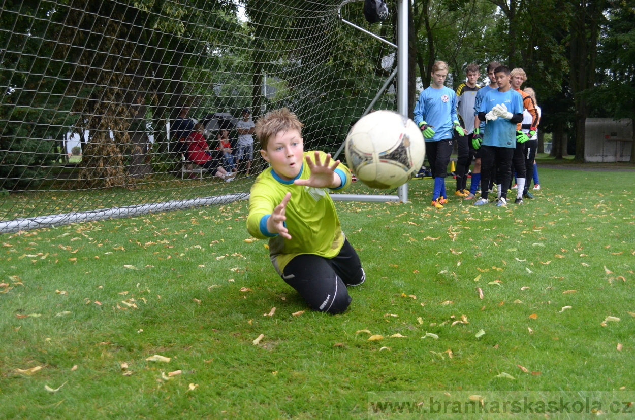 BFŠJCH - Léto 2016 - 31.7.2016
