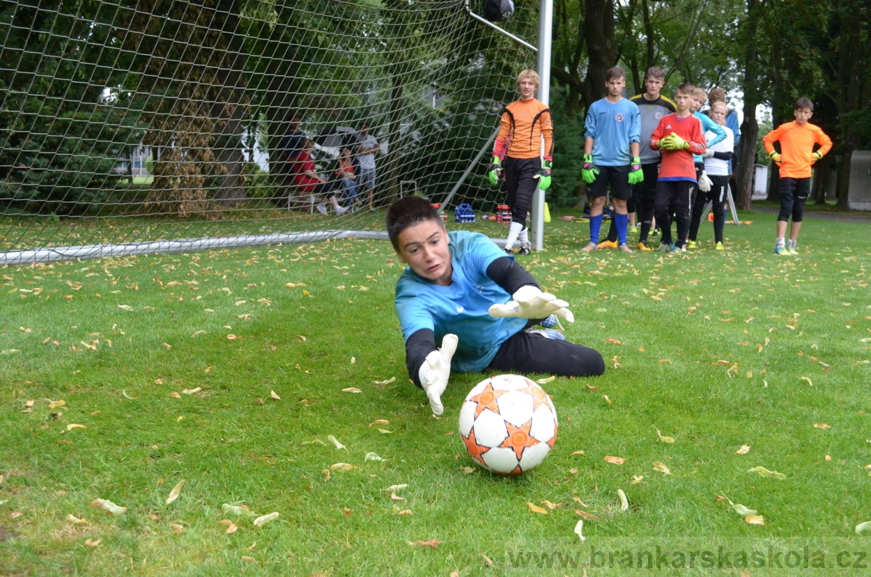 BFŠJCH - Léto 2016 - 31.7.2016