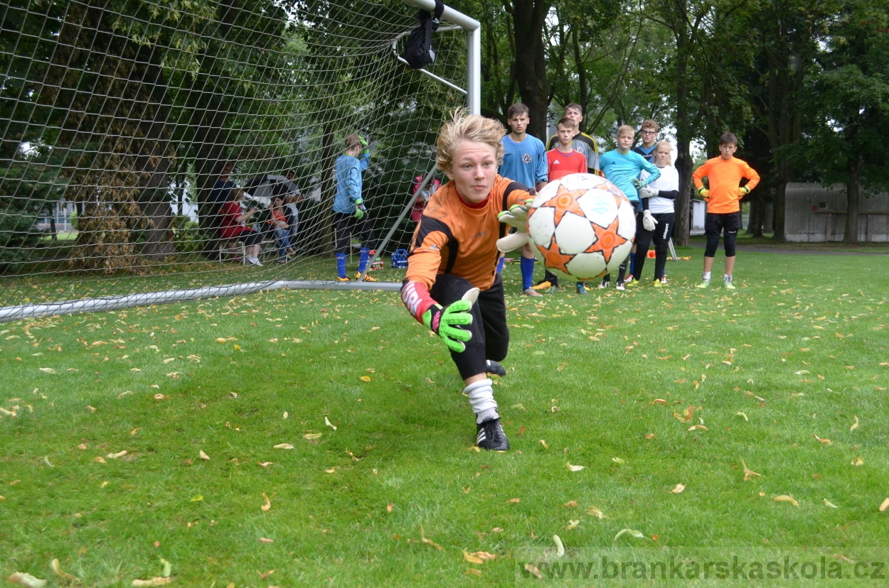 BFŠJCH - Léto 2016 - 31.7.2016