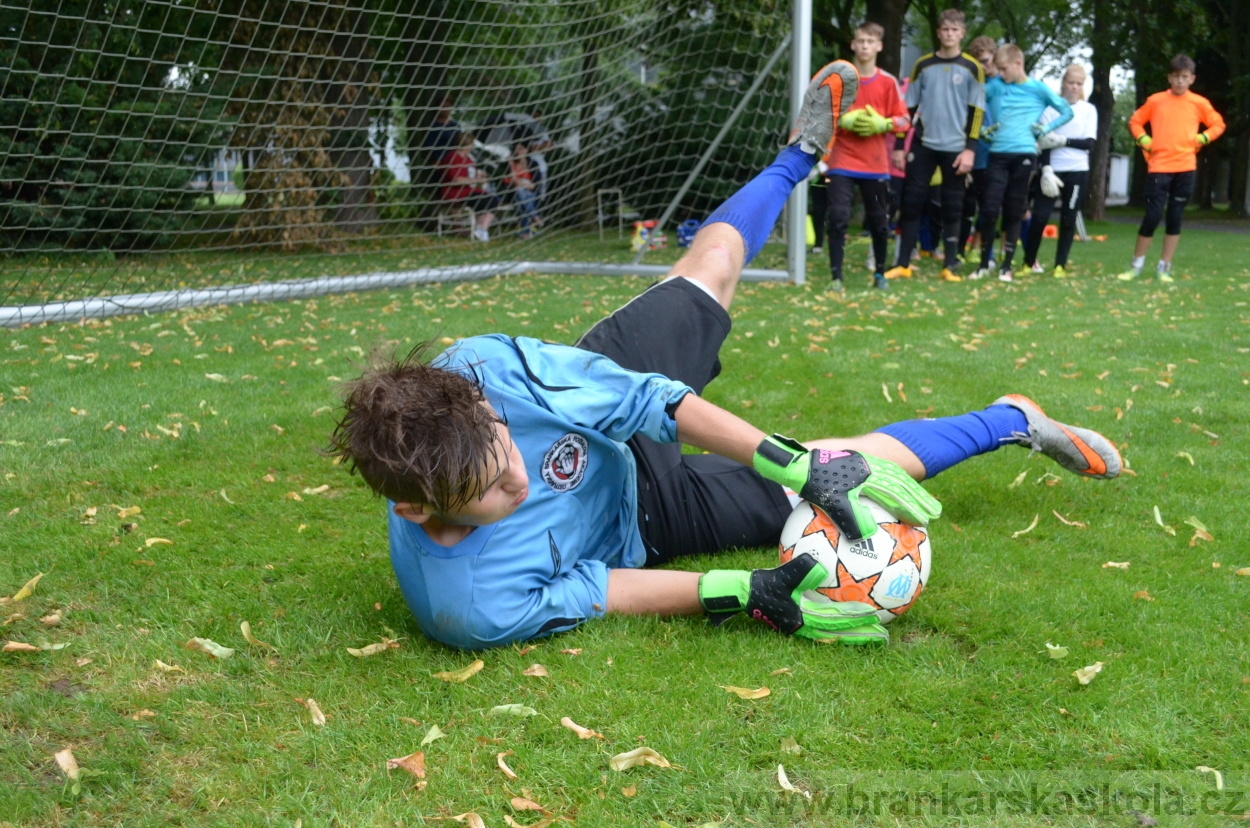 BFŠJCH - Léto 2016 - 31.7.2016