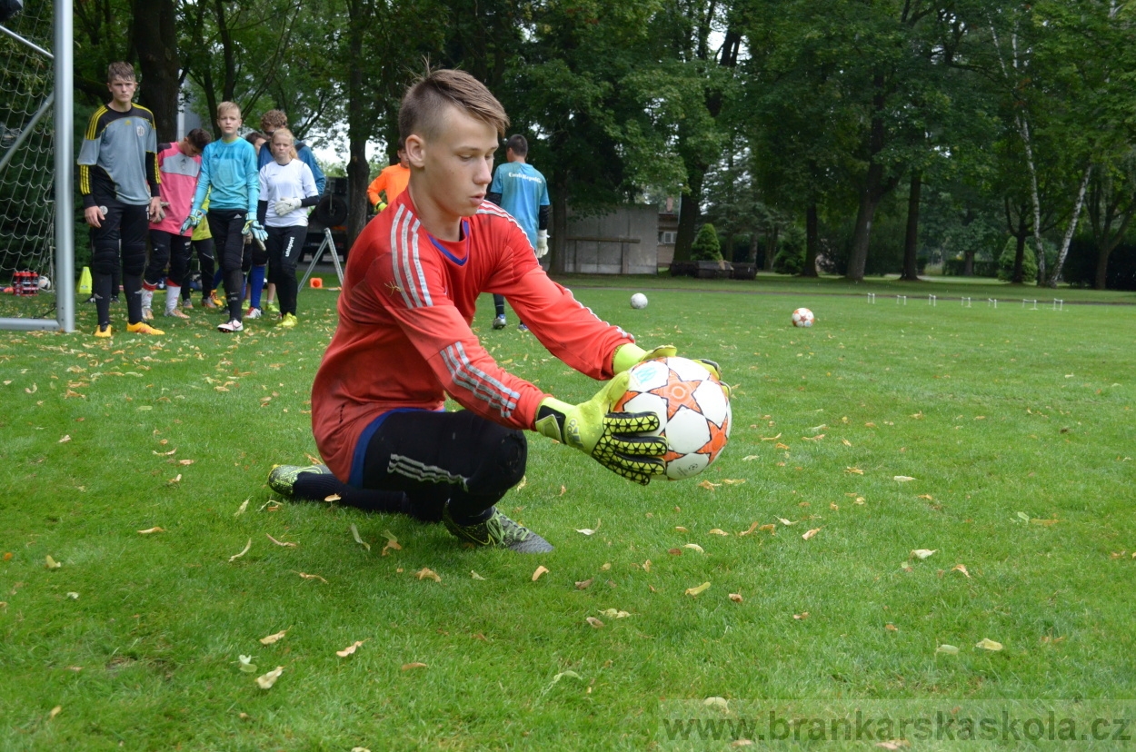 BFŠJCH - Léto 2016 - 31.7.2016