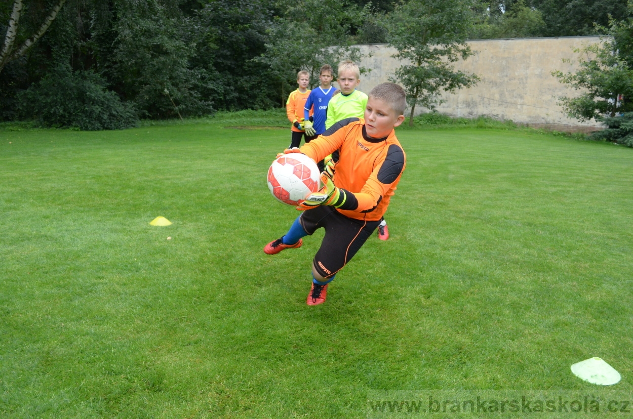 BFŠJCH - Léto 2016 - 31.7.2016