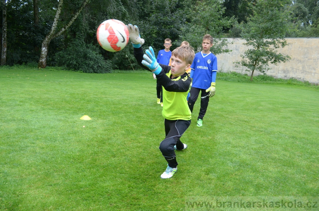 BFŠJCH - Léto 2016 - 31.7.2016