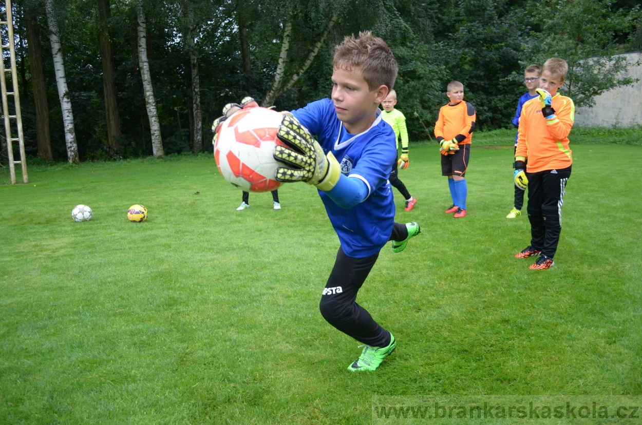 BFŠJCH - Léto 2016 - 31.7.2016