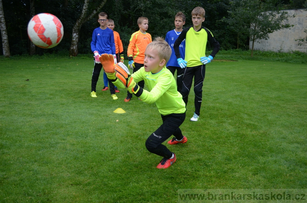 BFŠJCH - Léto 2016 - 31.7.2016