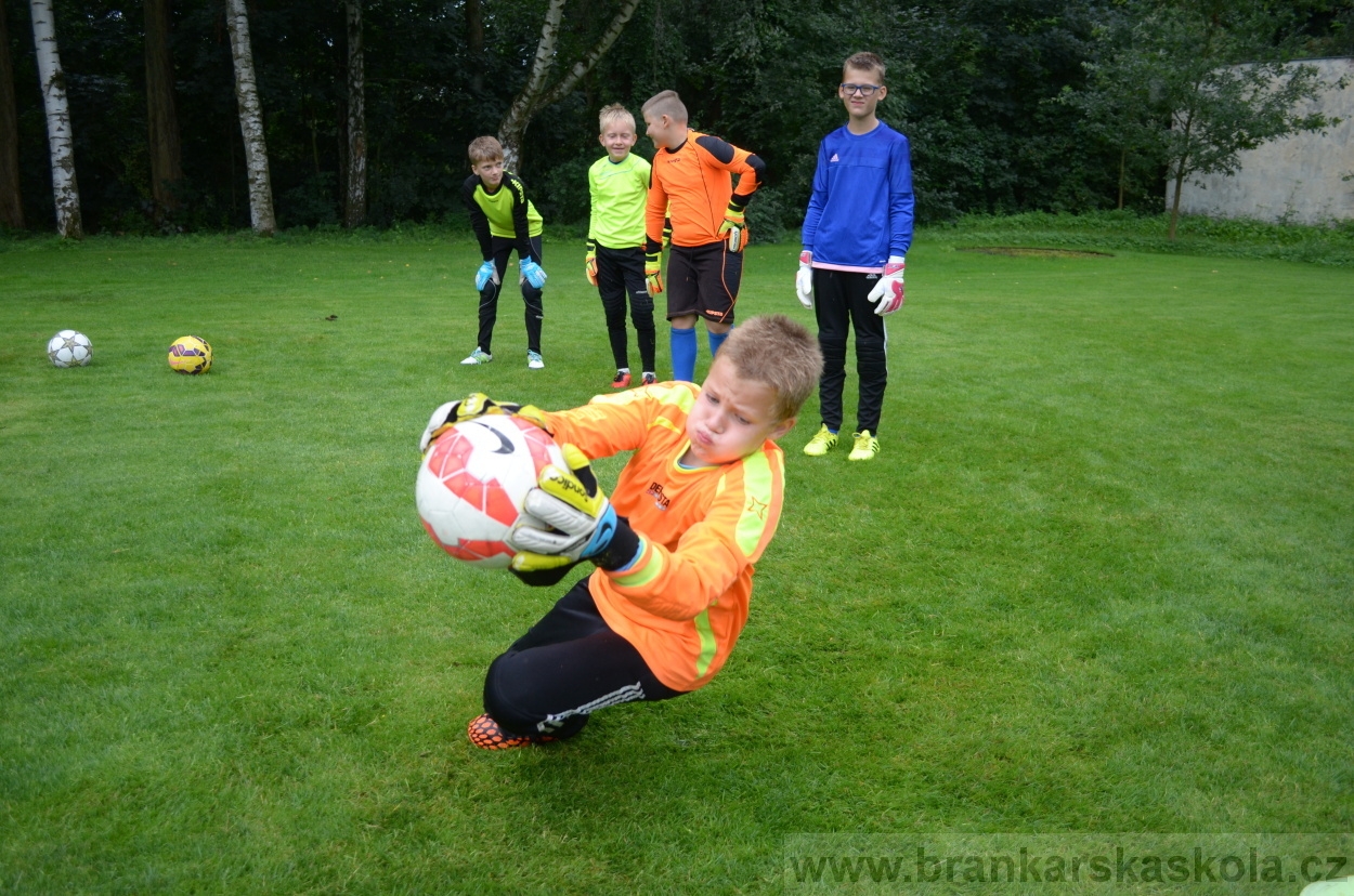 BFŠJCH - Léto 2016 - 31.7.2016